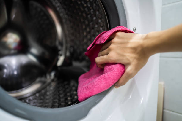Trusted Ashland, WI Mold Removal Experts