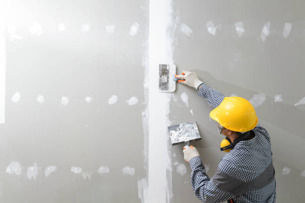 Best Mold Remediation for Healthcare Facilities  in Ashland, WI